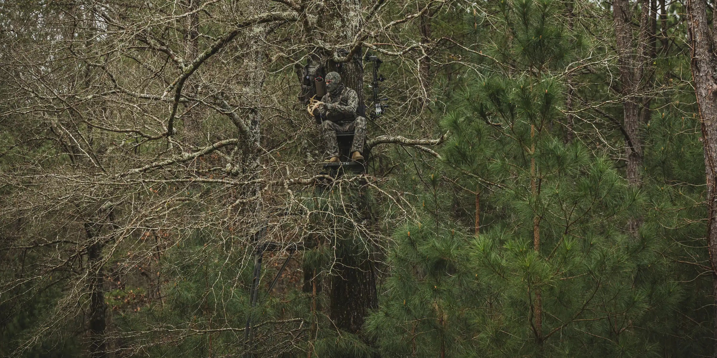 hunter in tree wearing badlands rise pro gear